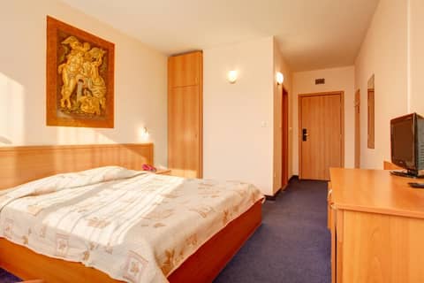 Central Plaza Hotel---FREE PARKING — hotel room