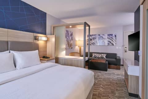 SpringHill Suites by Marriott Detroit Dearborn — photo 2