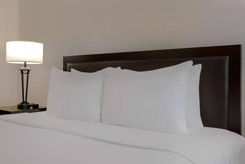 Ramada Plaza by Wyndham Calgary Downtown — photo 3