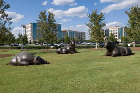 Staybridge Suites - Charlotte Ballantyne by IHG — photo 5