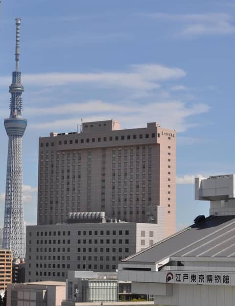 Dai-ichi Hotel Ryogoku — photo 3