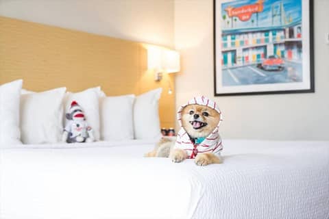 The Thunderbird Inn — hotel room