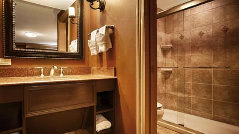 Best Western Plus French Quarter Courtyard Hotel — photo 7