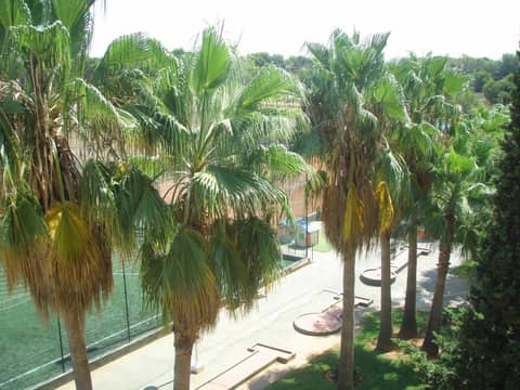 Hotel Don Miguel Playa — photo 4