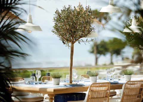 Ikos Andalusia — photo 8