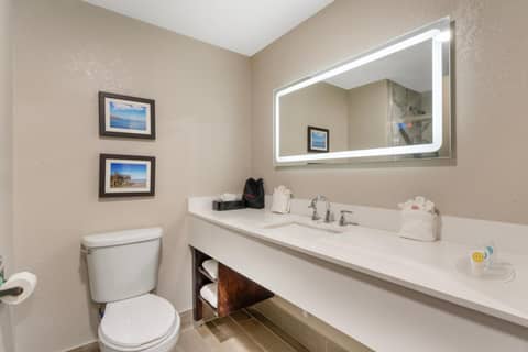 Comfort Suites West Jacksonville — photo 8