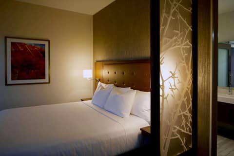 Hyatt Place Las Vegas at Silverton Village — photo 3