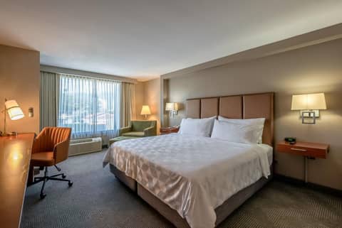 Holiday Inn San Jose La Sabana by IHG — photo 3