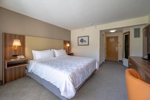 Holiday Inn San Jose La Sabana by IHG — photo 4