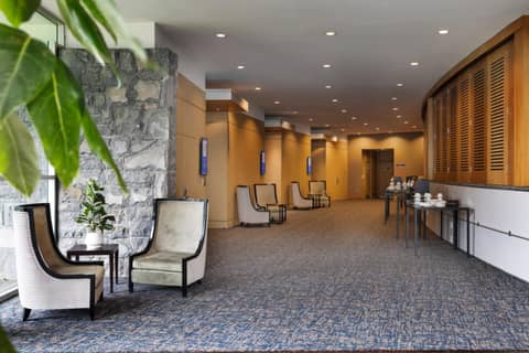 Novotel Auckland Ellerslie — photo 3