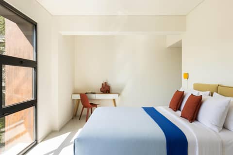 Okupa — photo 2