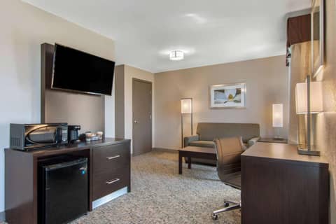 Clarion Inn & Suites Atlanta Downtown — photo 3