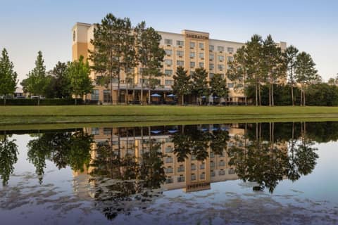 Sheraton Jacksonville Hotel — photo 8