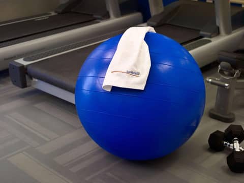 Sonesta ES Suites Houston Galleria — activities & amenities