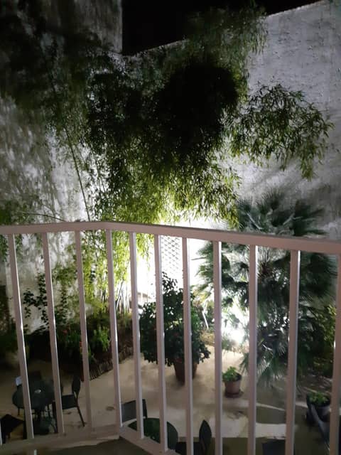 Hôtel Orchidée — photo 5