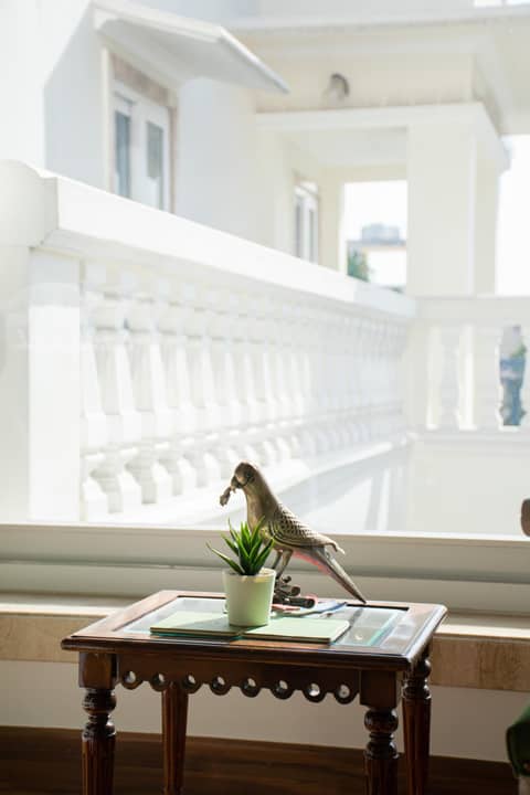 Dileep Kothi - A Royal Boutique Luxury Suites in Jaipur — photo 9