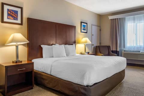 Comfort Inn & Suites Seattle North — photo 2