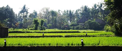 Saren Indah Hotel — photo 7