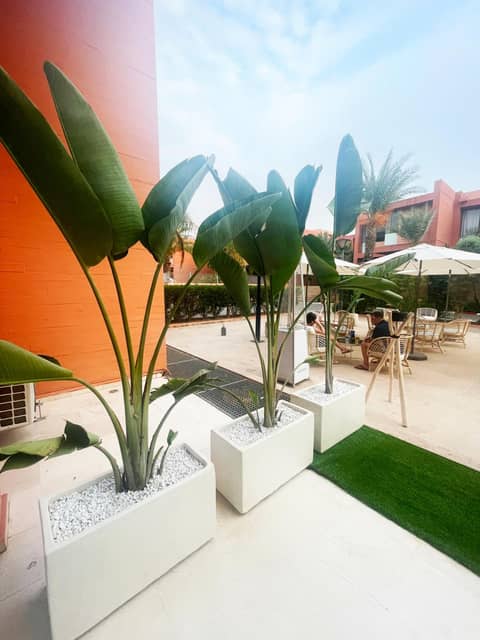 Rawabi Hotel Marrakech & Spa — other