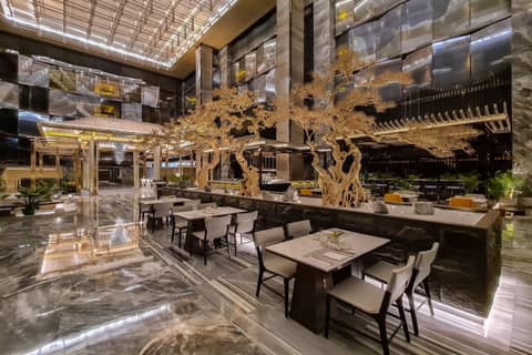 Hotel Okura Manila at Newport World Resorts — photo 6
