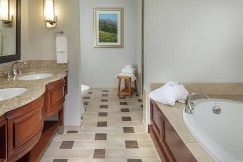 DoubleTree by Hilton Biltmore/Asheville — photo 6