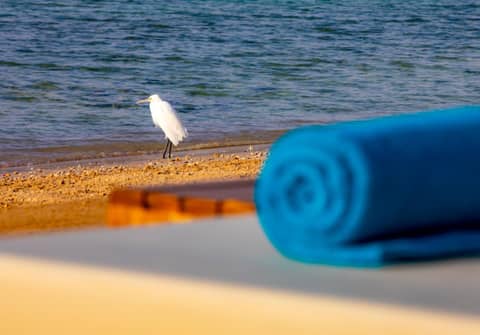 AJIRA Resort Sahl Hasheesh — photo 9