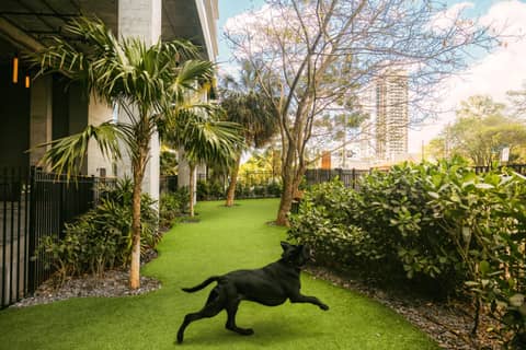 Flow Hotel Fort Lauderdale — activities & amenities