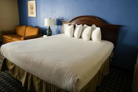 Anaheim Carriage Inn — hotel room