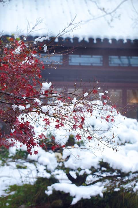 Four Seasons Hotel Hangzhou at West Lake — photo 5