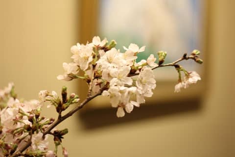 THE KITANO HOTEL TOKYO — photo 3