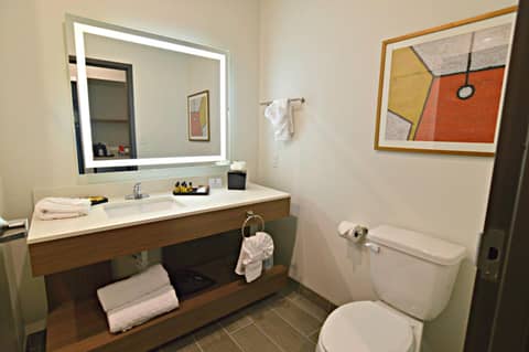 Wingate by Wyndham Austin North - Round Rock — photo 7