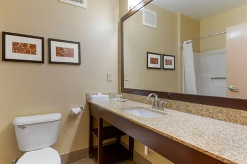 Comfort Suites Columbus Expo Center — photo 4
