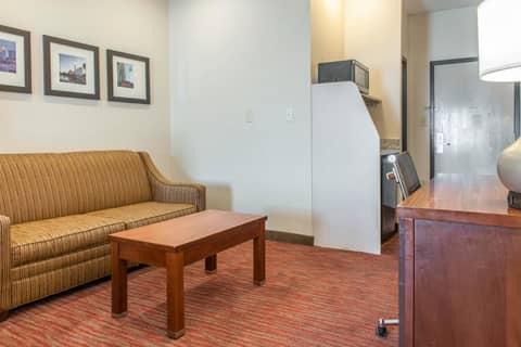 Comfort Suites Columbus Expo Center — photo 8