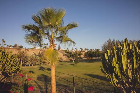 Vista Verde - Adults Only — photo 7