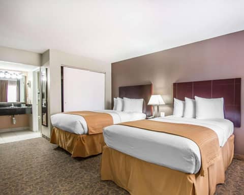 Quality Inn & Suites By the Parks — photo 7