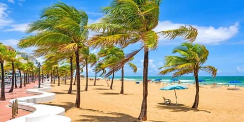 Crowne Plaza Hotel & Resorts Fort Lauderdale Airport/ Cruise by IHG — photo 2