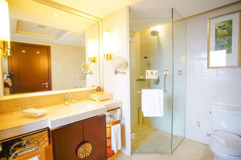 Grand Soluxe International Hotel Xi'an — photo 3