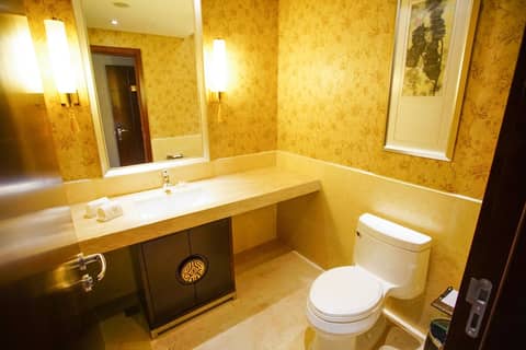 Grand Soluxe International Hotel Xi'an — photo 9