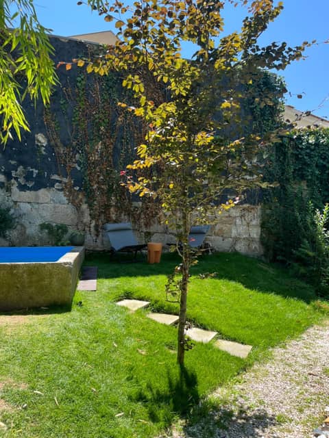 Jardim da Batalha Boutique Hotel by Shiadu — photo 7