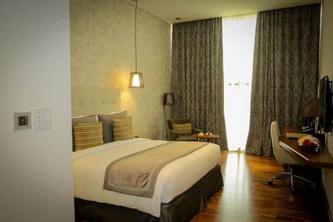 The Avenue Hotel — photo 7