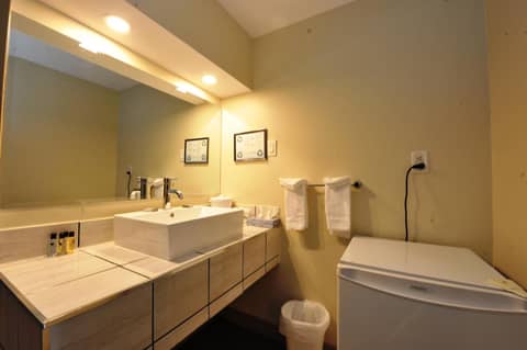 Hotel Le Voyageur — photo 7