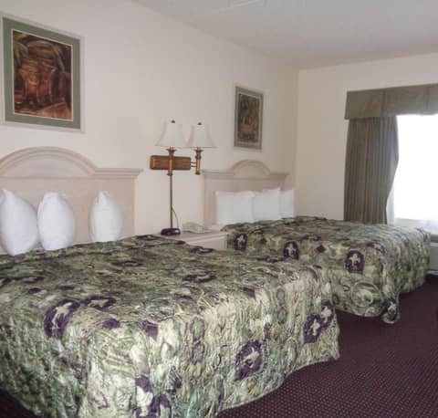 Allure Suites of Fort Myers — photo 8