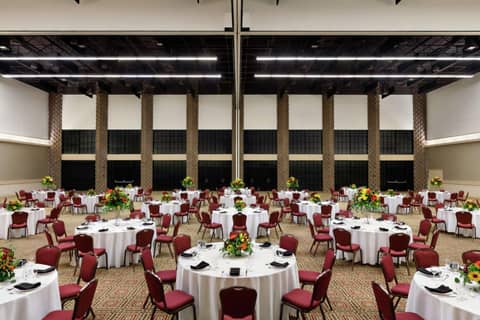 DoubleTree by Hilton Paradise Valley Resort Scottsdale — photo 4