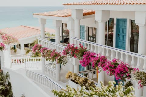 Mar del Cabo By Velas Resorts Adults Only — photo 6