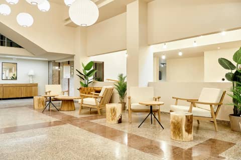 tent Torremolinos — recepcion & lobby