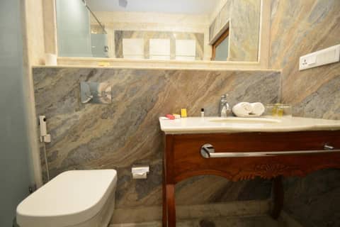 Nirbana Palace - A Heritage Hotel and Spa — photo 9
