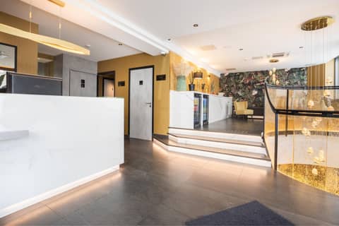 Prince Albert Lyon Bercy — recepcion & lobby