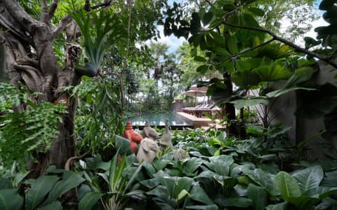 The Nature & Villas — other