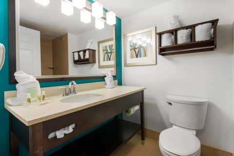 Holiday Inn Savannah South - I-95 Gateway by IHG — photo 9