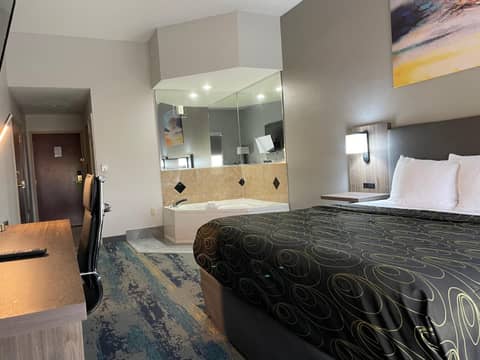 La Quinta by Wyndham Tampa Central — photo 9